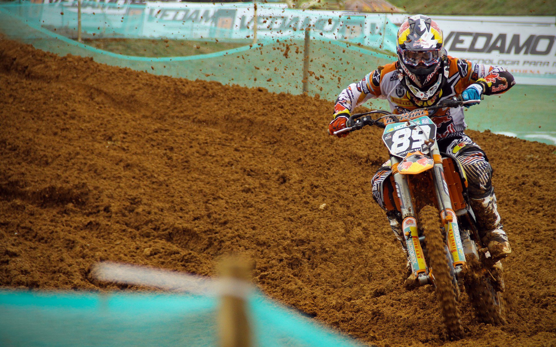 铿锵玫瑰再绽放!中国女足逆转夺冠,亚洲杯赛场展现不屈斗志